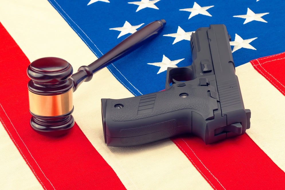 gun control laws in america essay